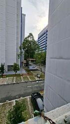 Blk 252 Bukit Batok East Avenue 5 (Bukit Batok), HDB 3 Rooms #589907381